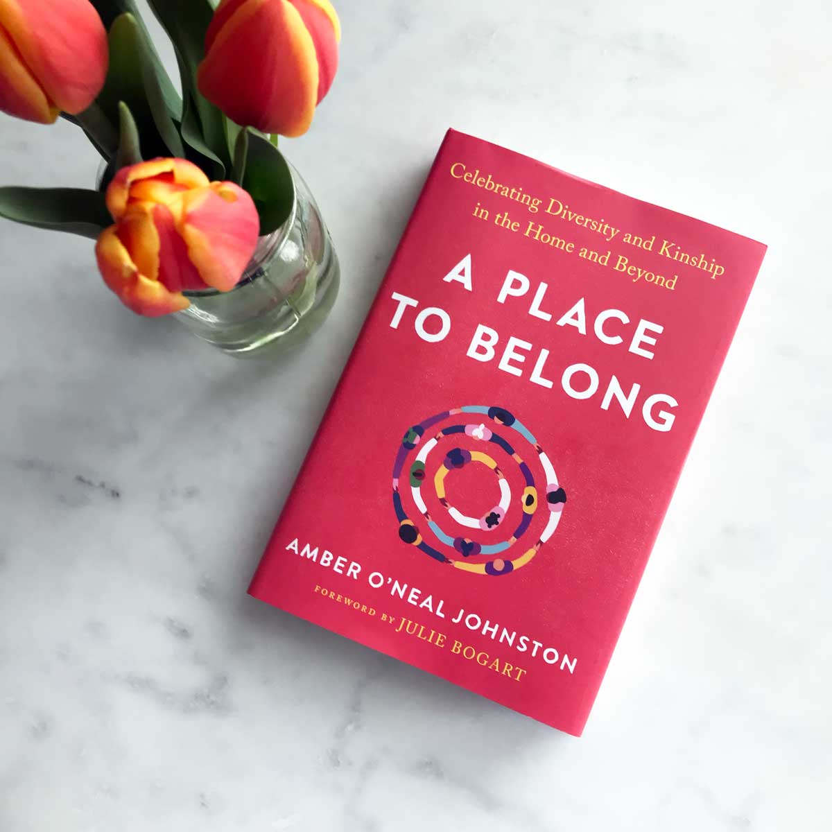 A Place to Belong Book