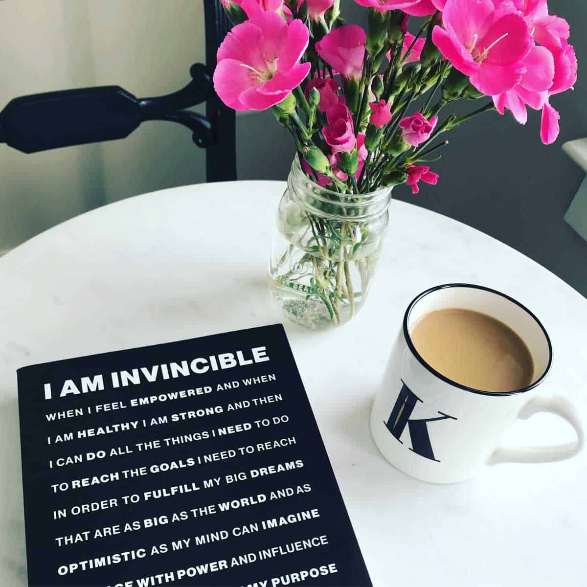 I am Invincible book